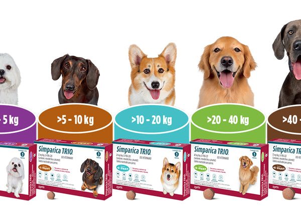 Simparica Trio
