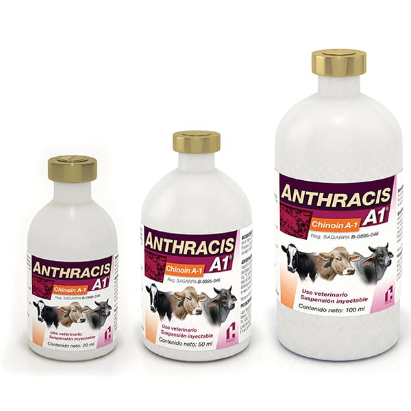 Anthracis A1 Chinoin Ántrax