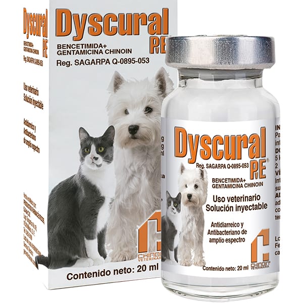 Dyscural PVE