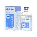 Equi-gan