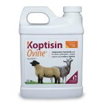 Koptisin Ovine