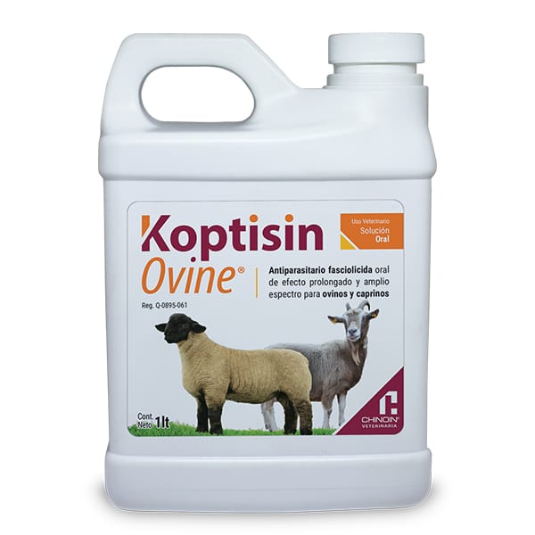 Koptisin Ovine
