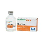 Napzin