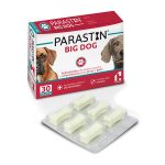 Parastin Big Dog 6 tabletas