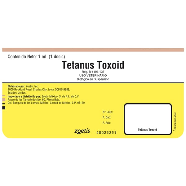 Tetanus Toxoid