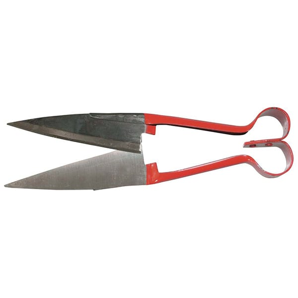 Tijera para esquilar borrego ovejas